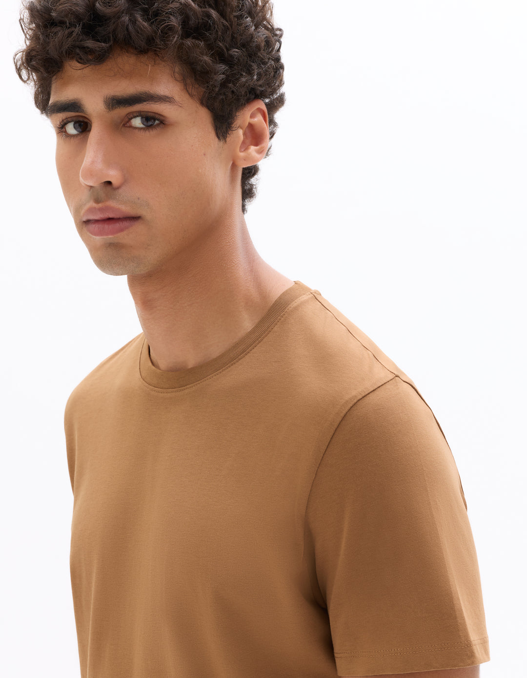 Regular Fit Crew Neck 100% Cotton T-shirt