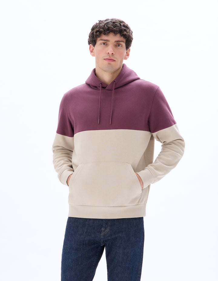 Regular Cotton Blend Hoodie