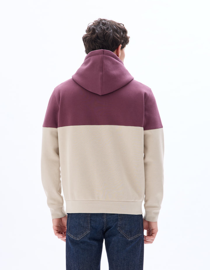 Regular Cotton Blend Hoodie