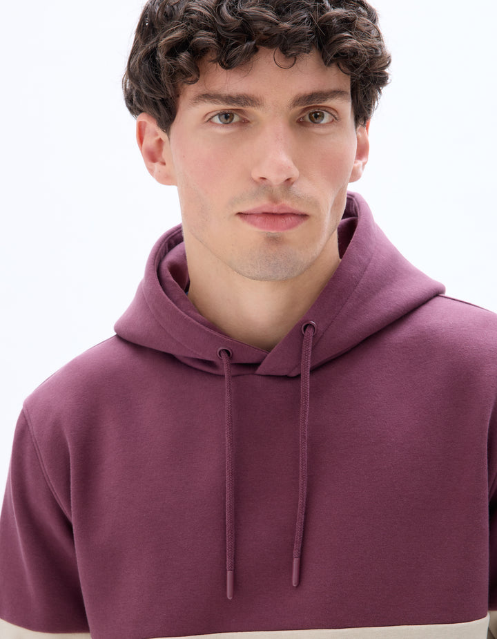 Regular Cotton Blend Hoodie