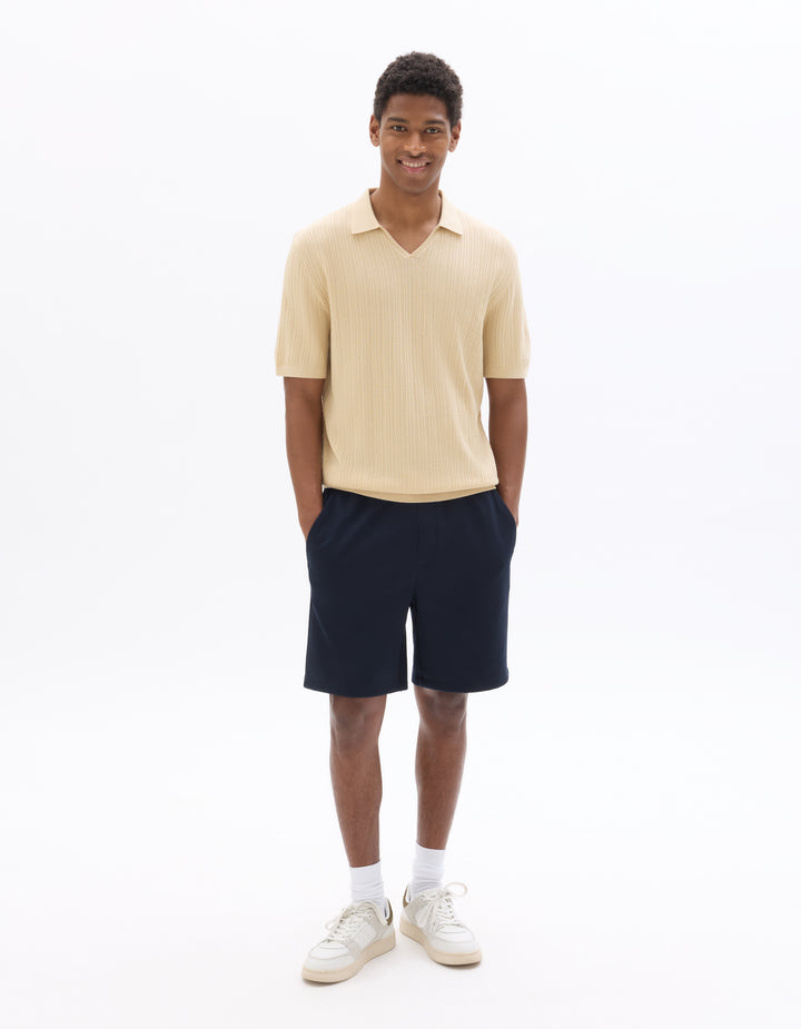 Regular Fit 100% Cotton Knit Polo Shirt