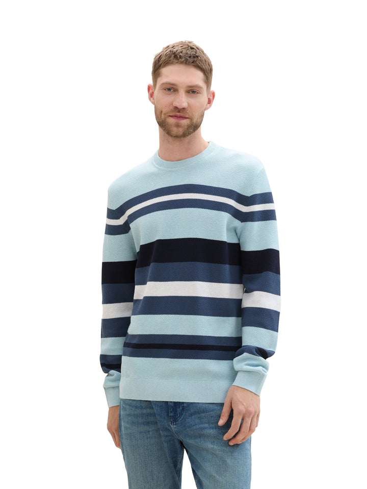 STRUCTURE STRIPE CREWNECK KNIT