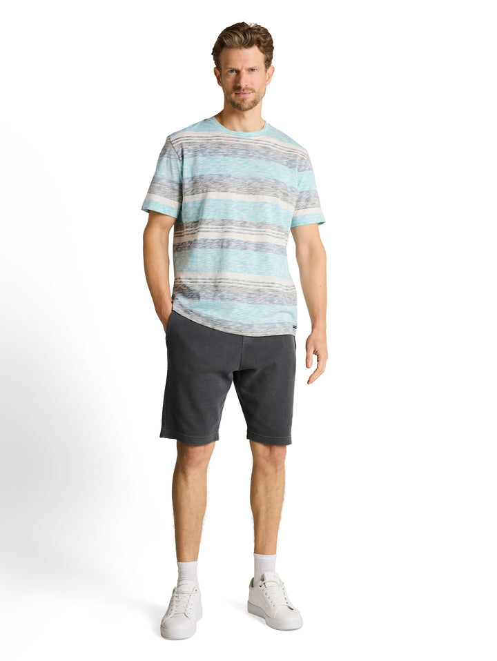 INSIDE PRINTED STRIPE T-SHIRT